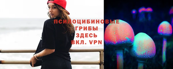 мдпв Осташков