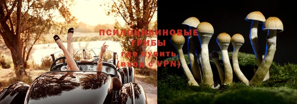 не бодяженный Гвардейск