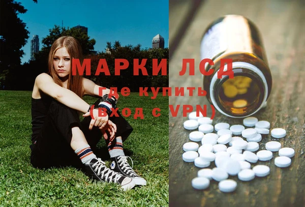 мдпв Осташков