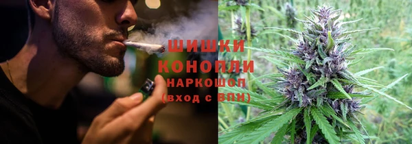 молекула духа Осинники