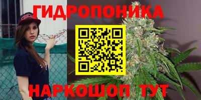 амф Кунгур