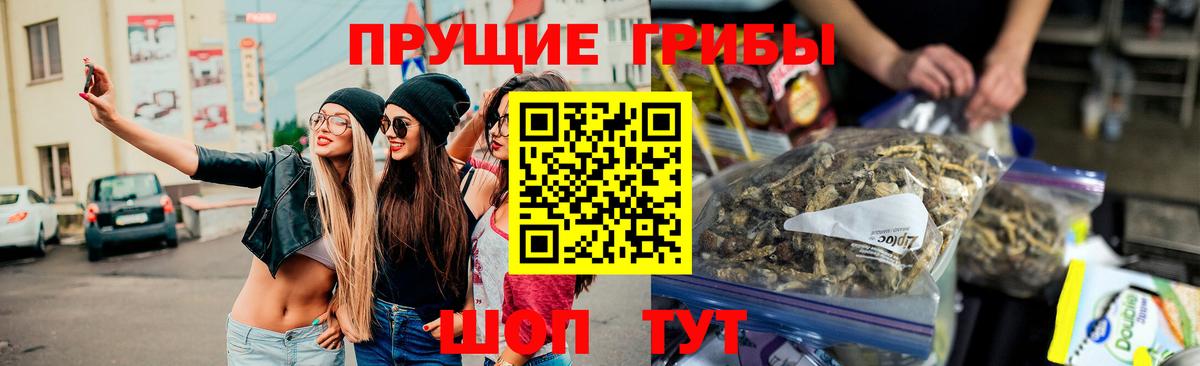 Псилоцибиновые грибы прущие грибы Кумертау